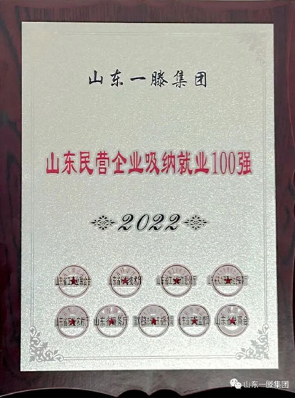喜訊 | 山東一滕集團(tuán)和一滕新材料公司分別入圍上榜山東民營(yíng)企業(yè)“吸納就業(yè)100強(qiáng)”“創(chuàng)新潛力100強(qiáng)”榜單